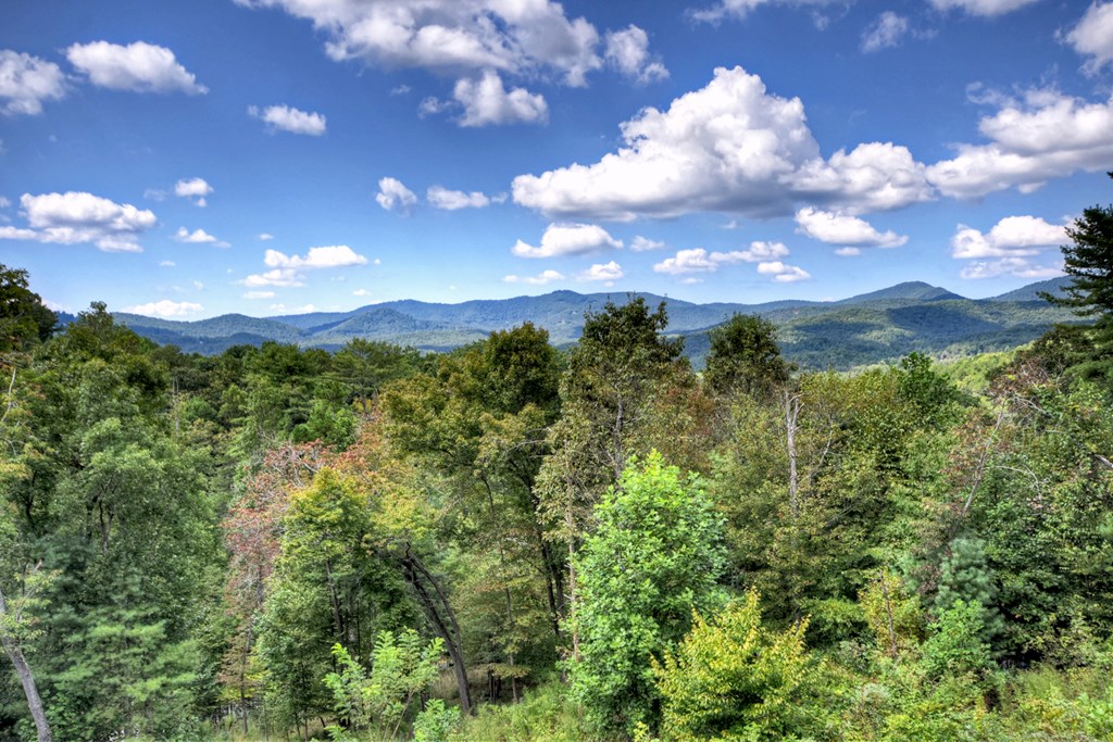 425251 Mineral Bluff Residential