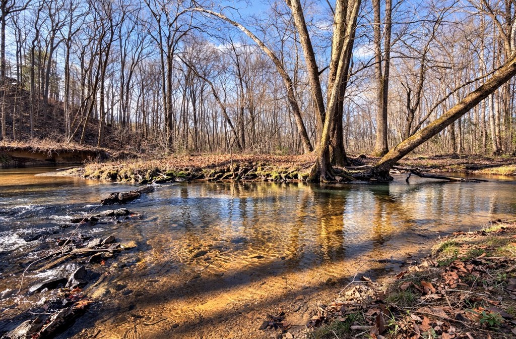 425258 Ellijay Residential