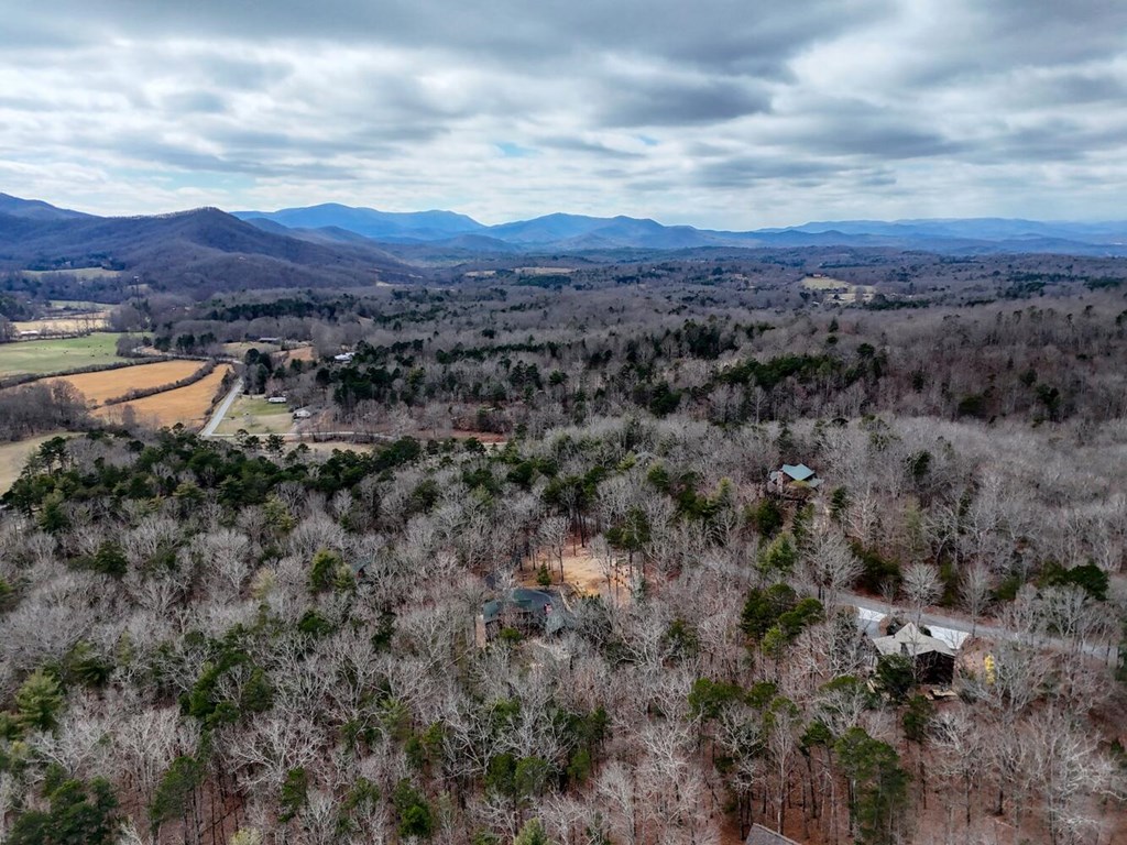 425261 Morganton Residential