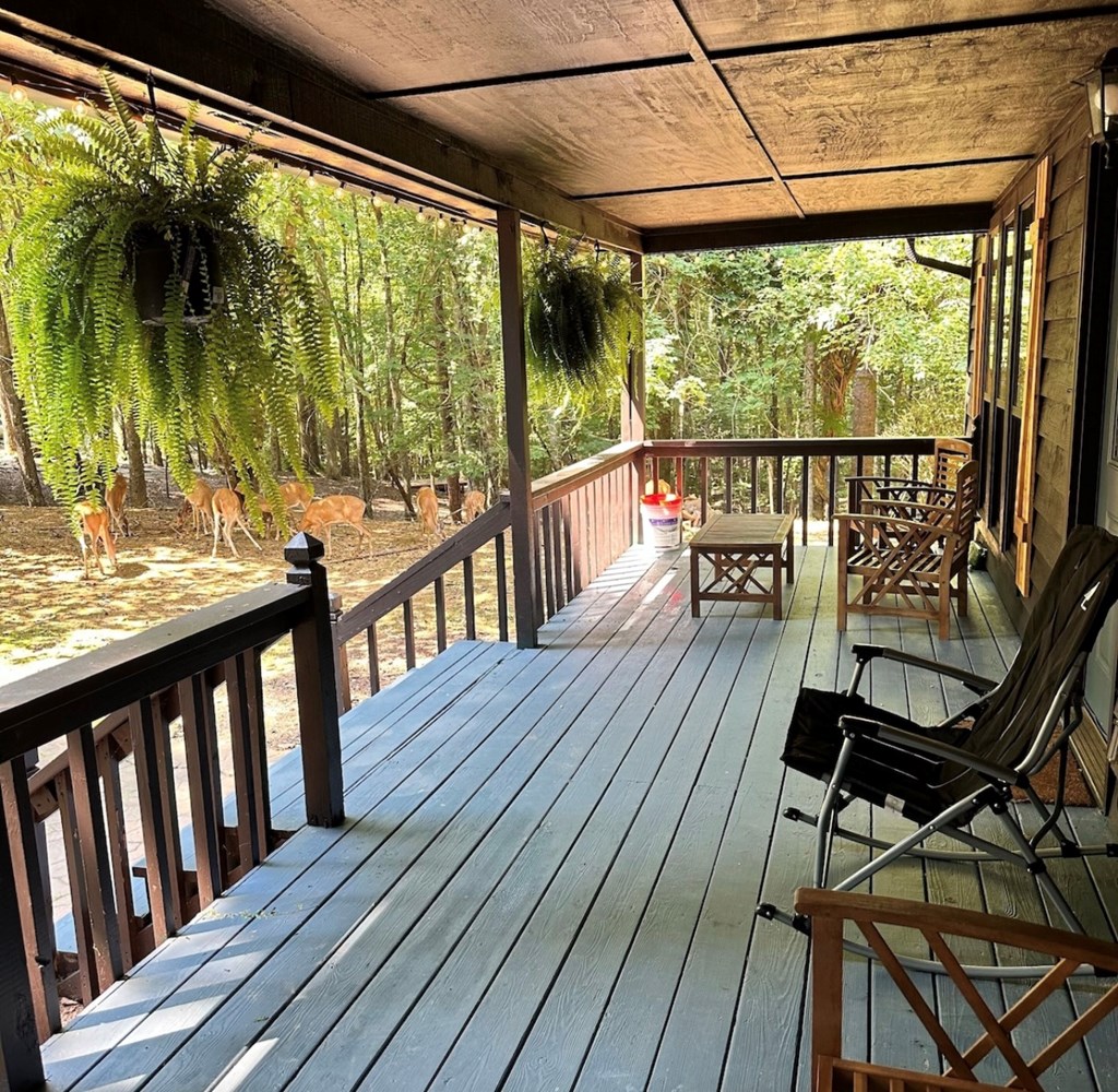 425262 Ellijay Residential