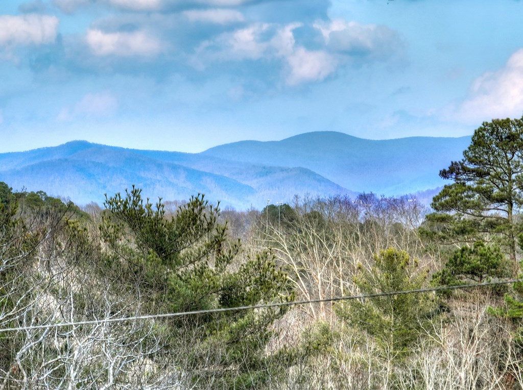 425264 Ellijay Residential