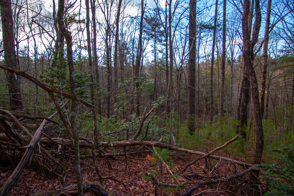 425277 Cherry Log Residential