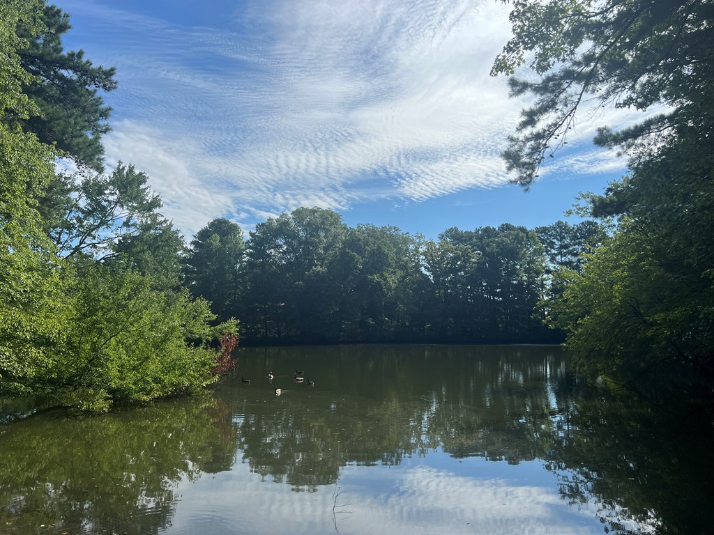 425282 Lithonia Residential