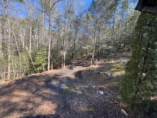 425283 Blairsville Residential