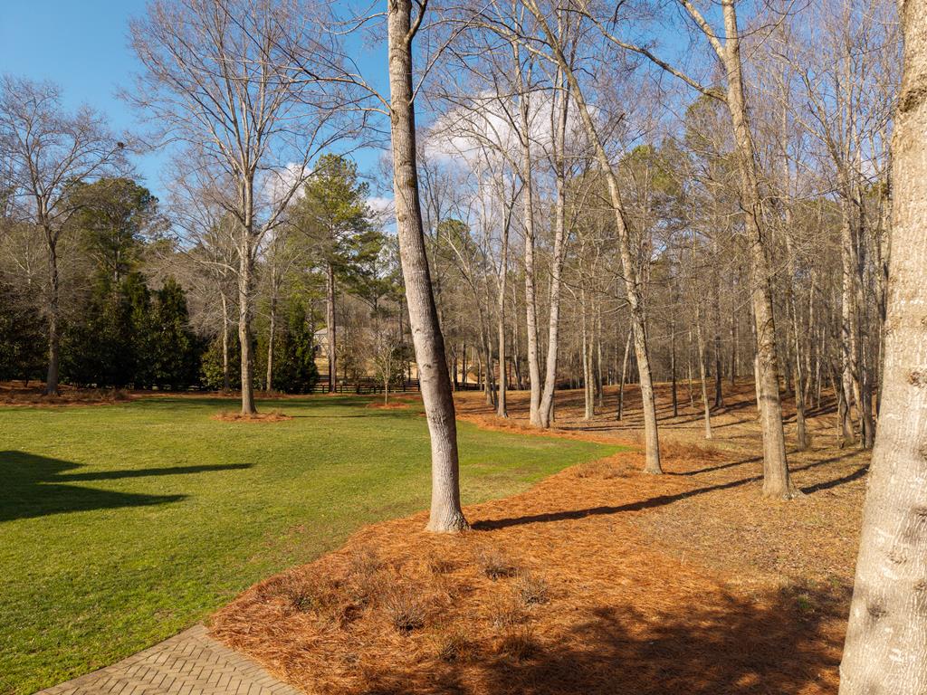 425289 Ball Ground Residential