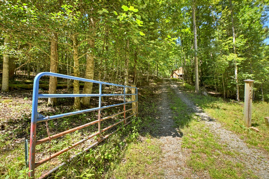 425301 McCaysville Residential