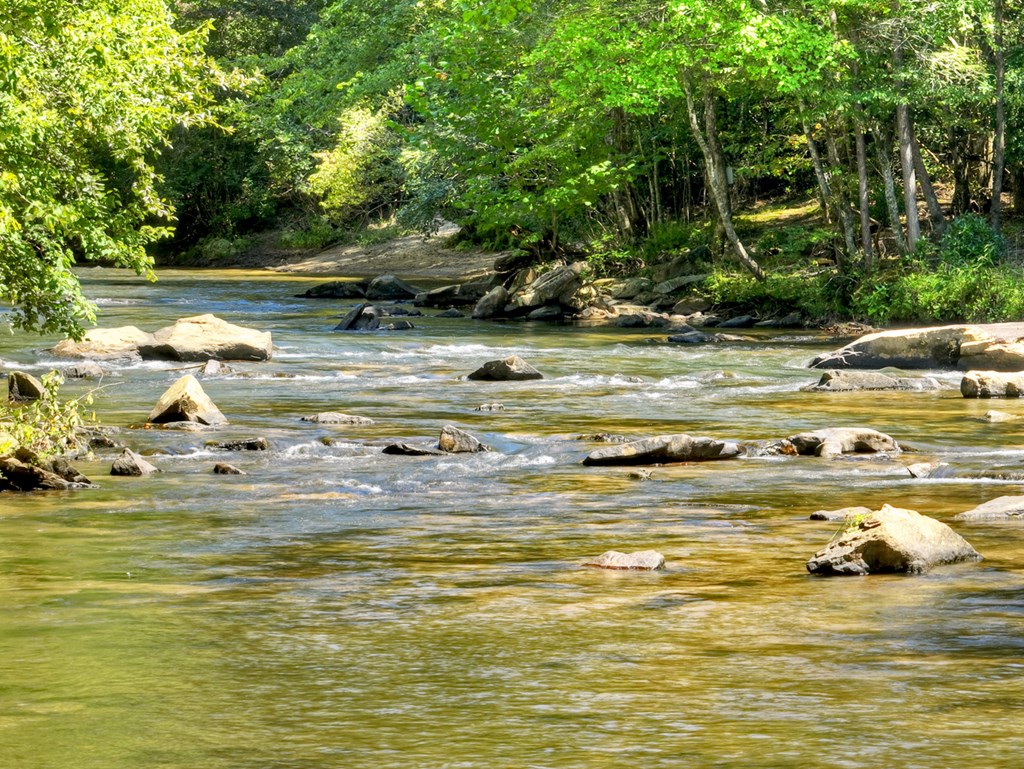 425301 McCaysville Residential