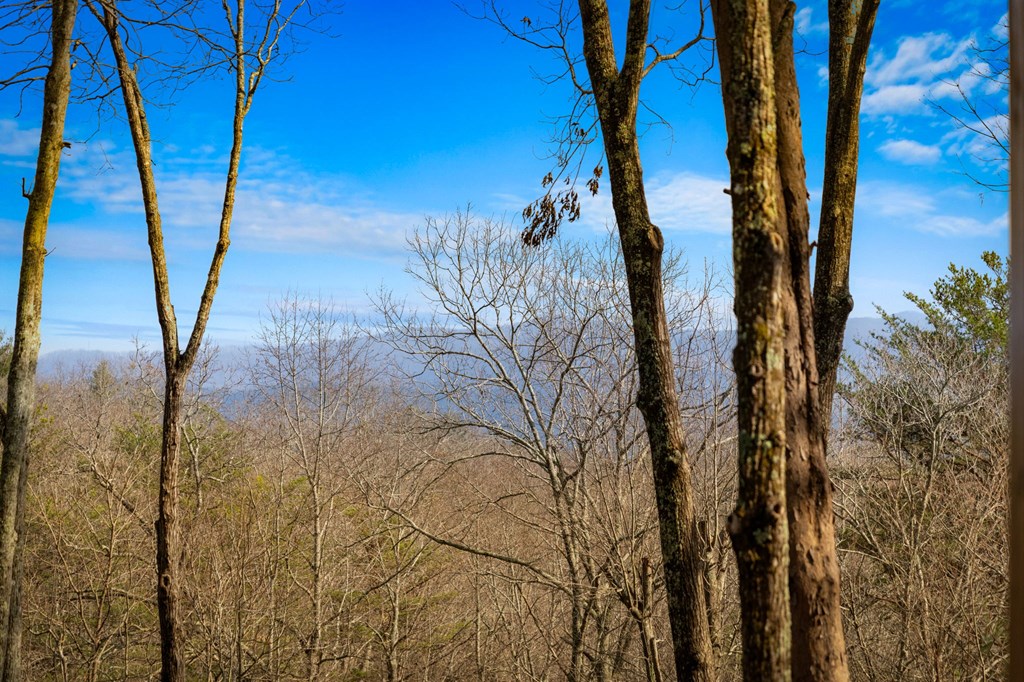 425313 Cherry Log Residential