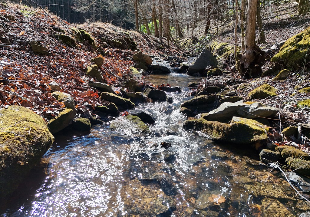 425318 Blairsville Residential