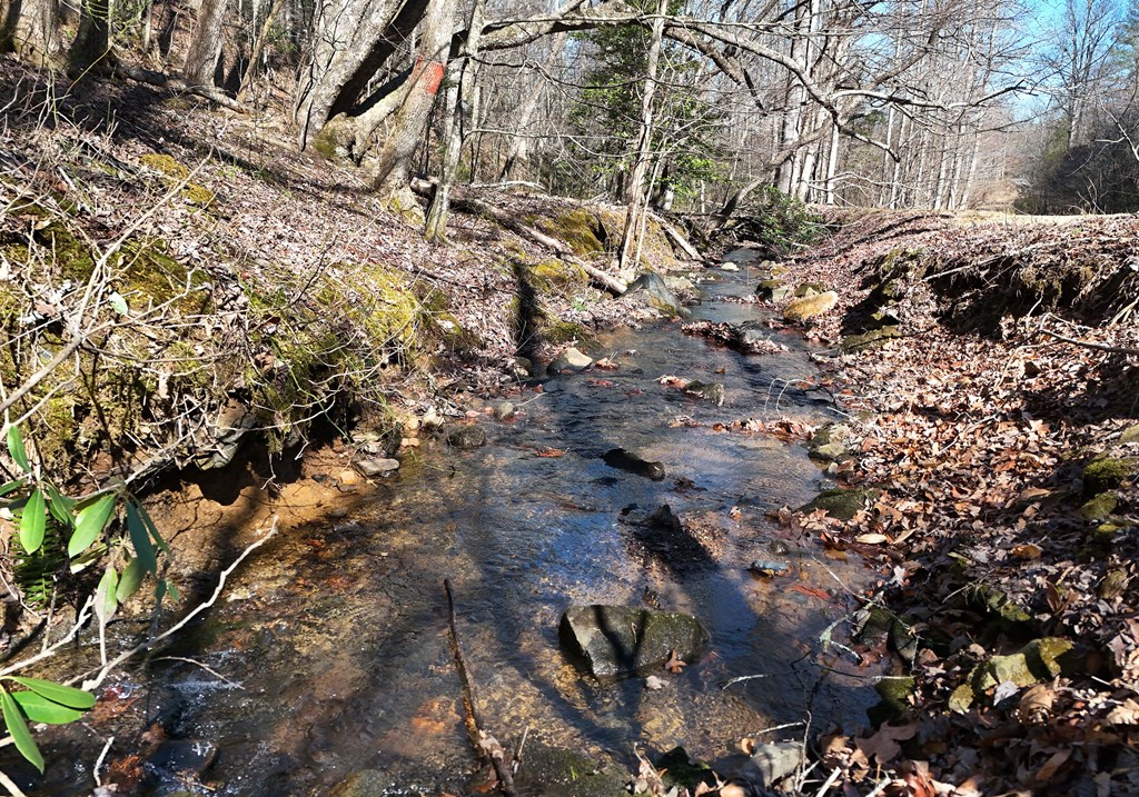 425318 Blairsville Residential