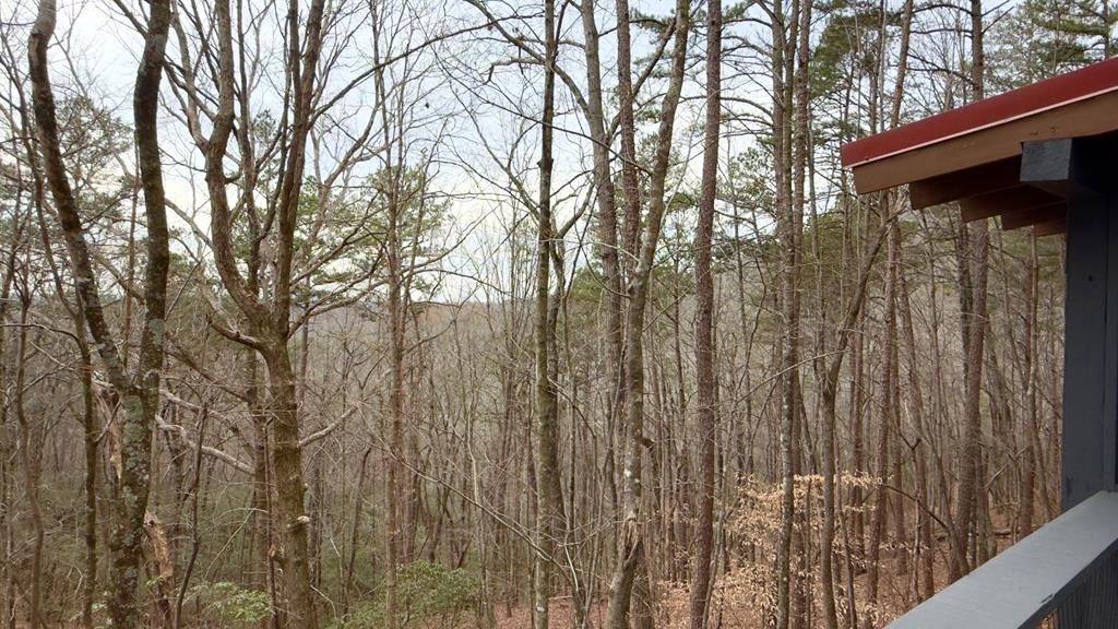 425320 Ellijay Residential