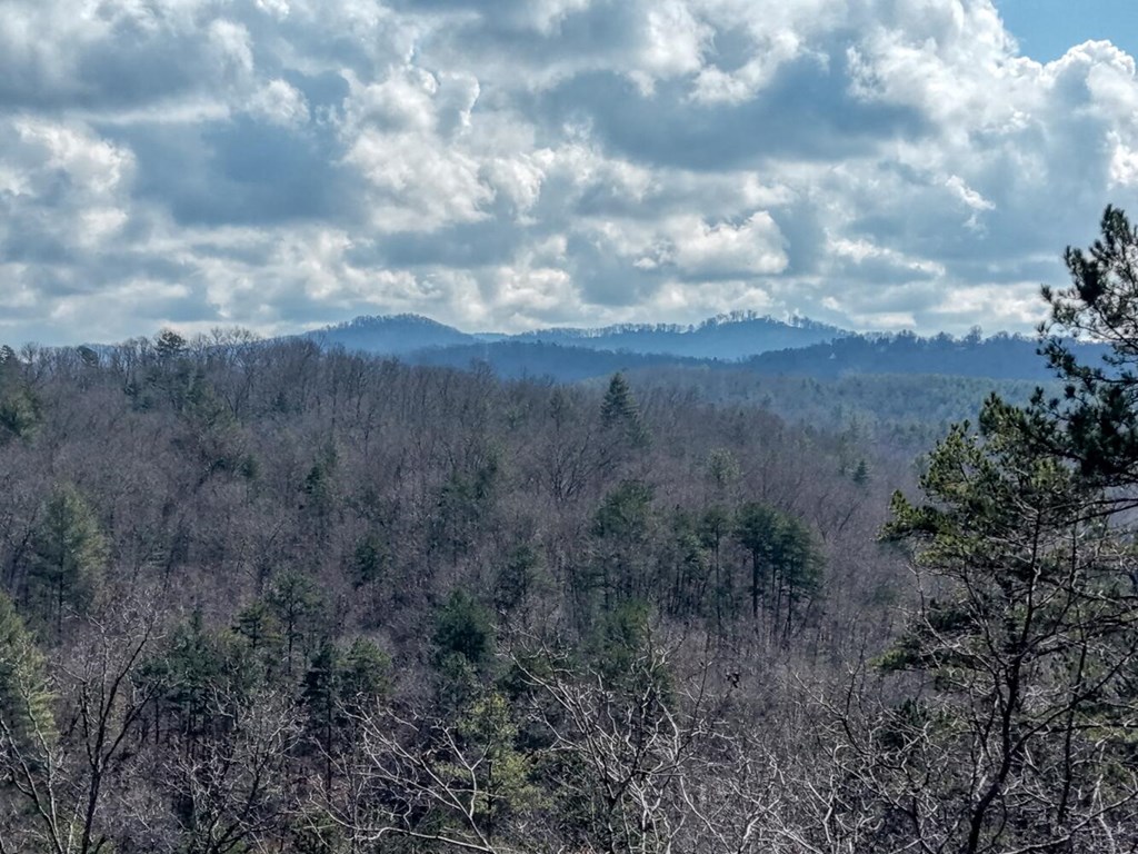 425335 Murphy Residential