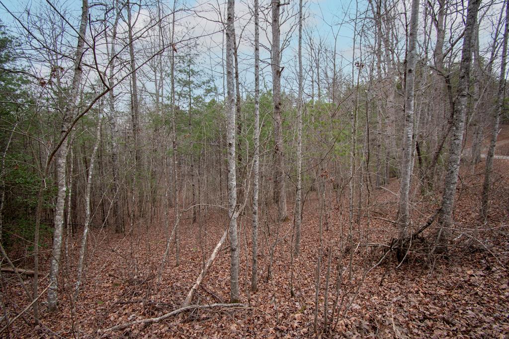 425337  Land