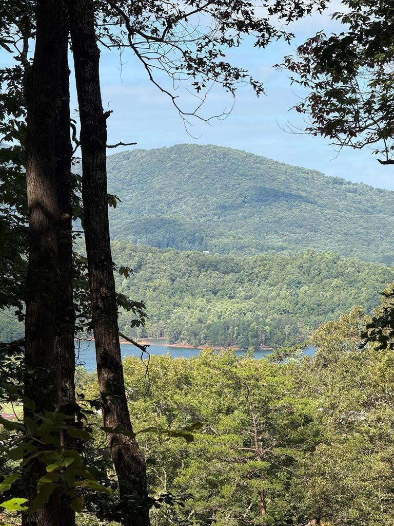 425371 Hiawassee Residential