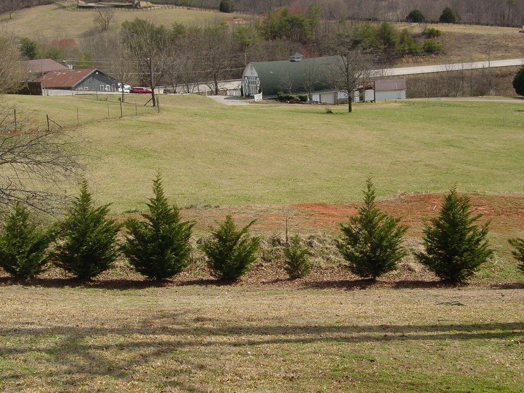 425383 Young Harris Residential