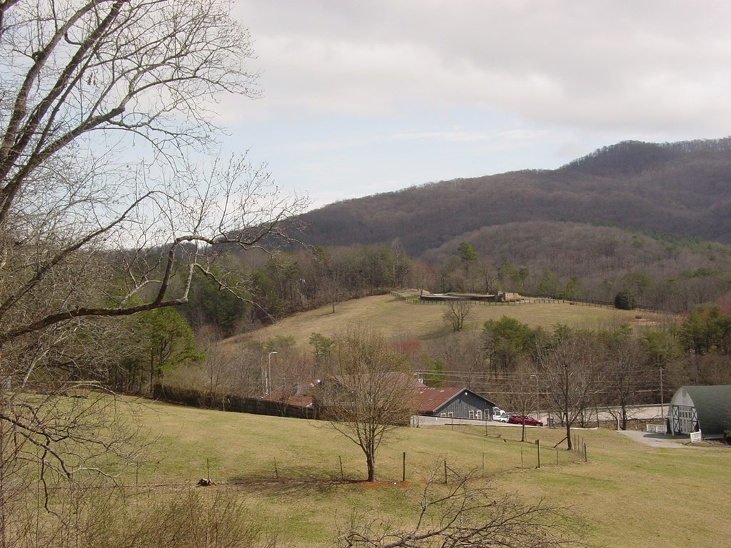 425383 Young Harris Residential