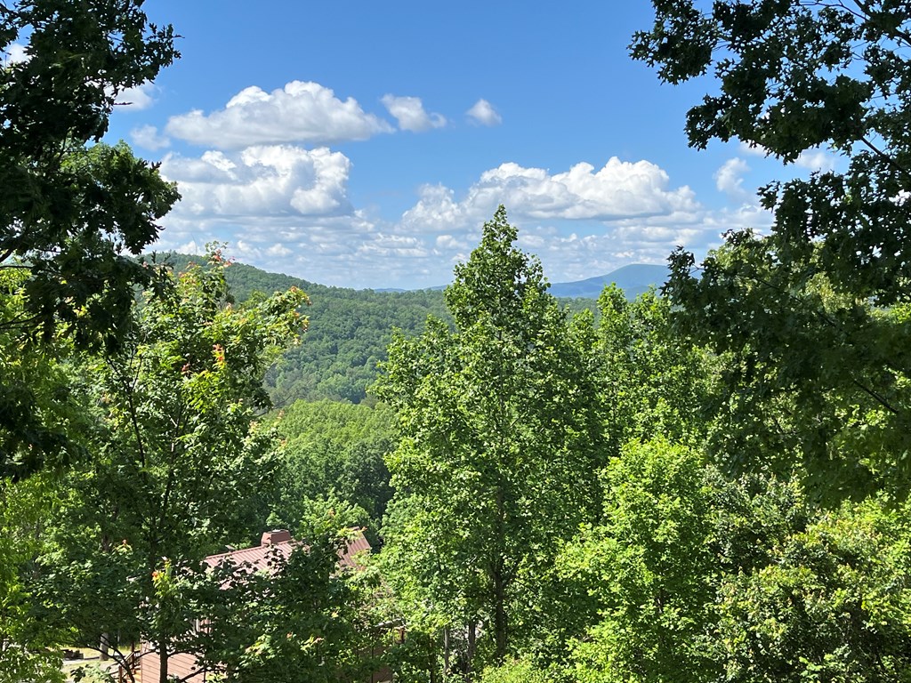 425388 Murphy Residential