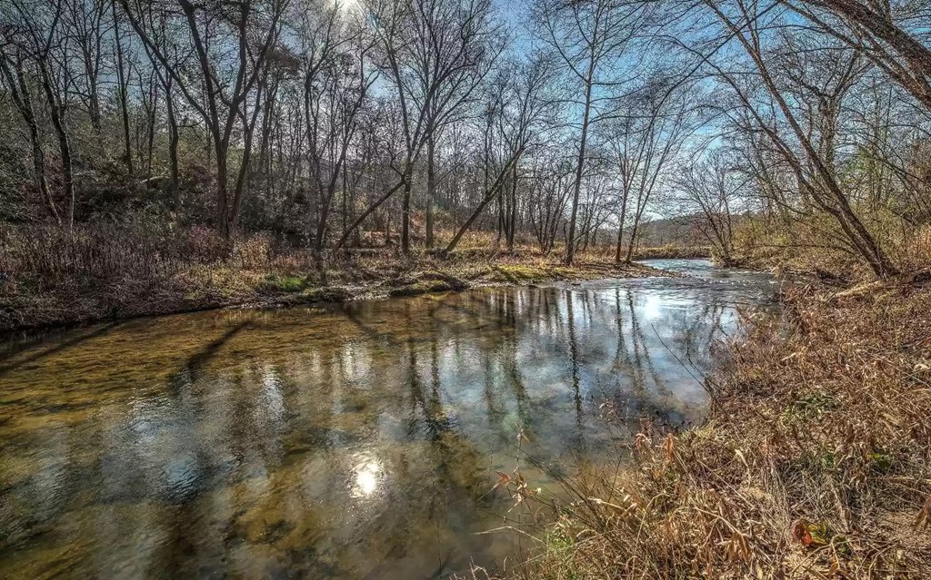 425401 Mineral Bluff Residential