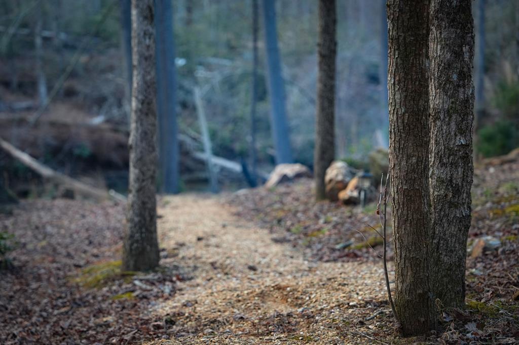 425403 Blue Ridge Residential