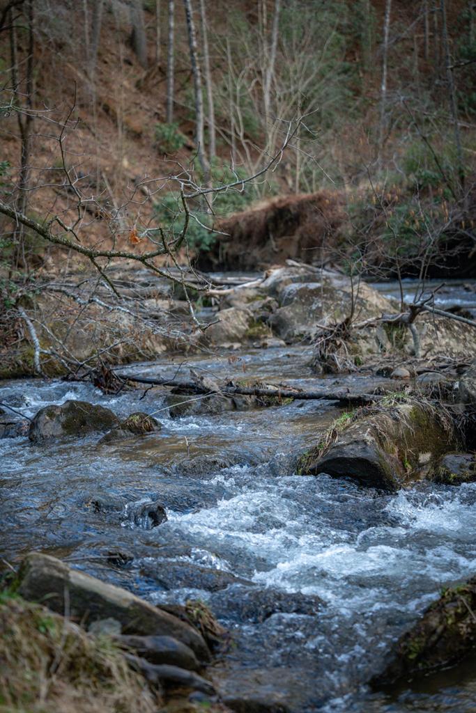 425403 Blue Ridge Residential