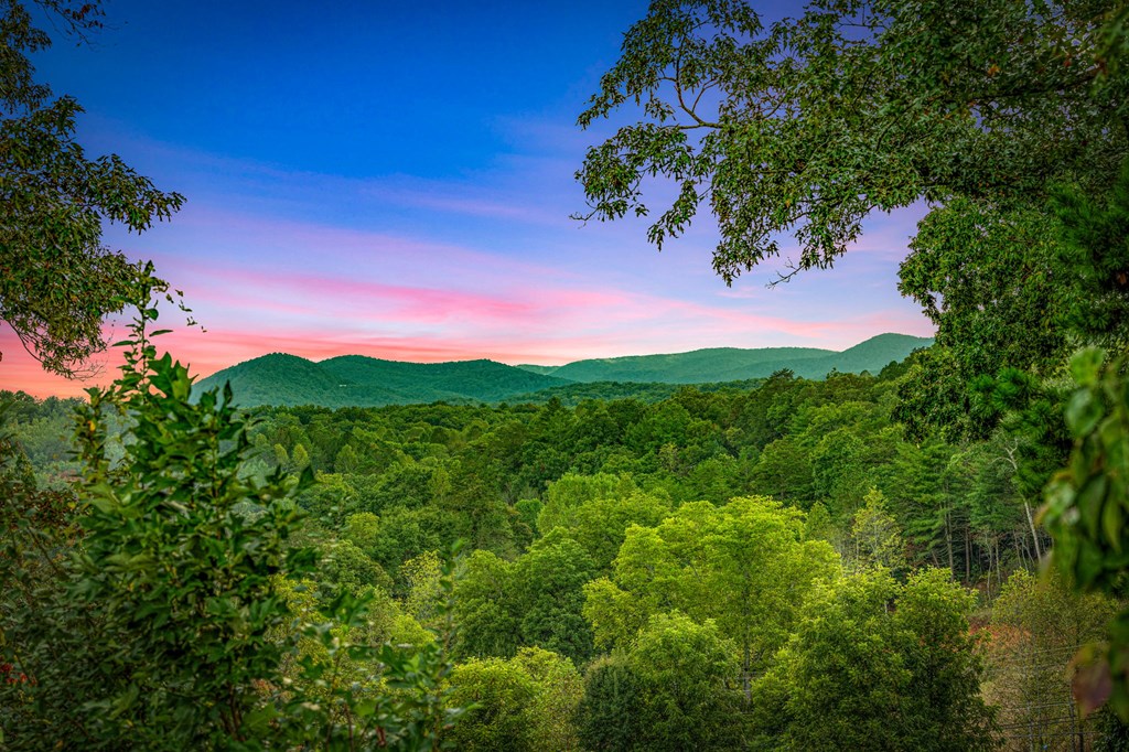 425406 Blue Ridge Residential