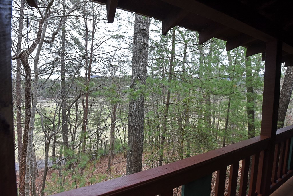 425413 Blue Ridge Residential