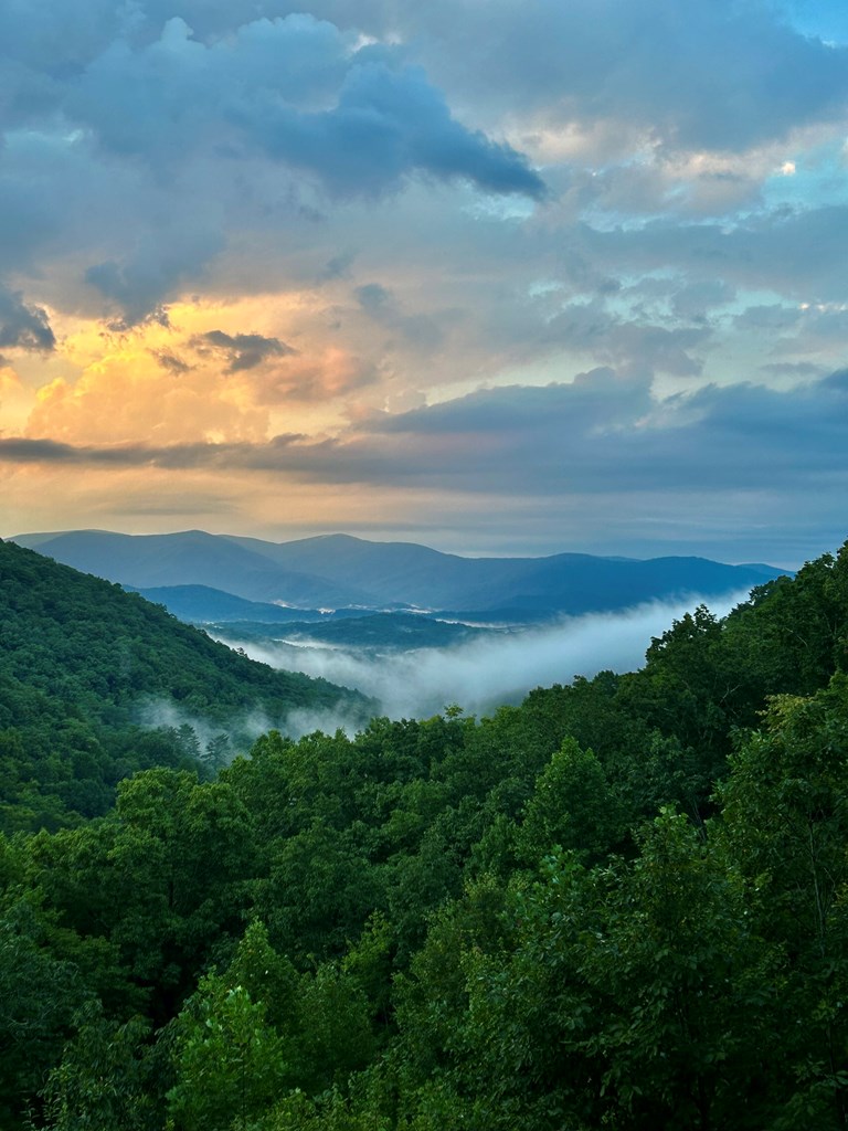 425426 Cherry Log Residential