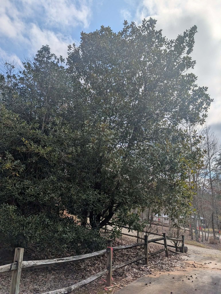 427432 Blairsville Residential