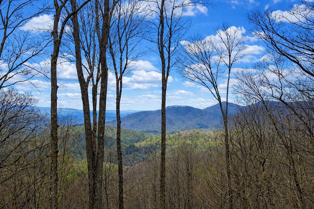 428433 Ellijay Residential