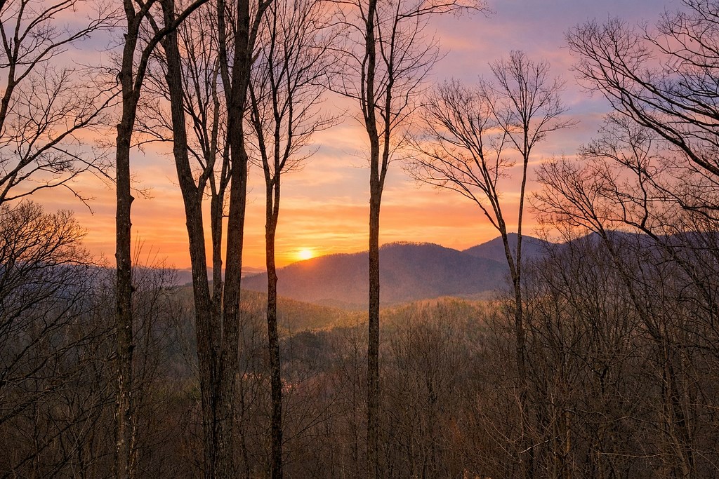 428433 Ellijay Residential