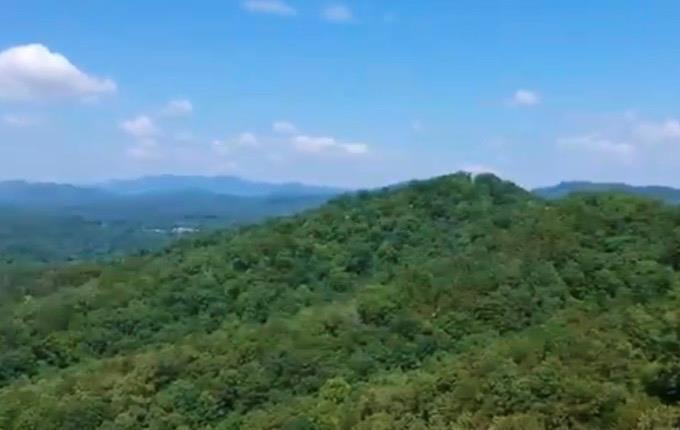 428442 Murphy Residential