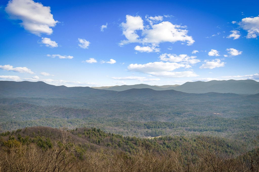 428456 Ellijay Residential