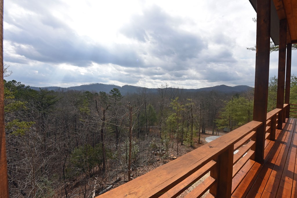 428462 Mineral Bluff Residential