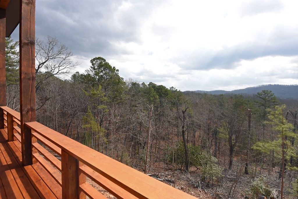 428462 Mineral Bluff Residential