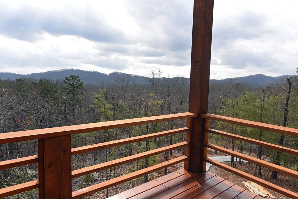 428462 Mineral Bluff Residential