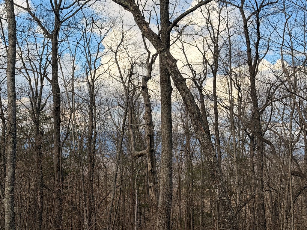 428463 Jasper Residential