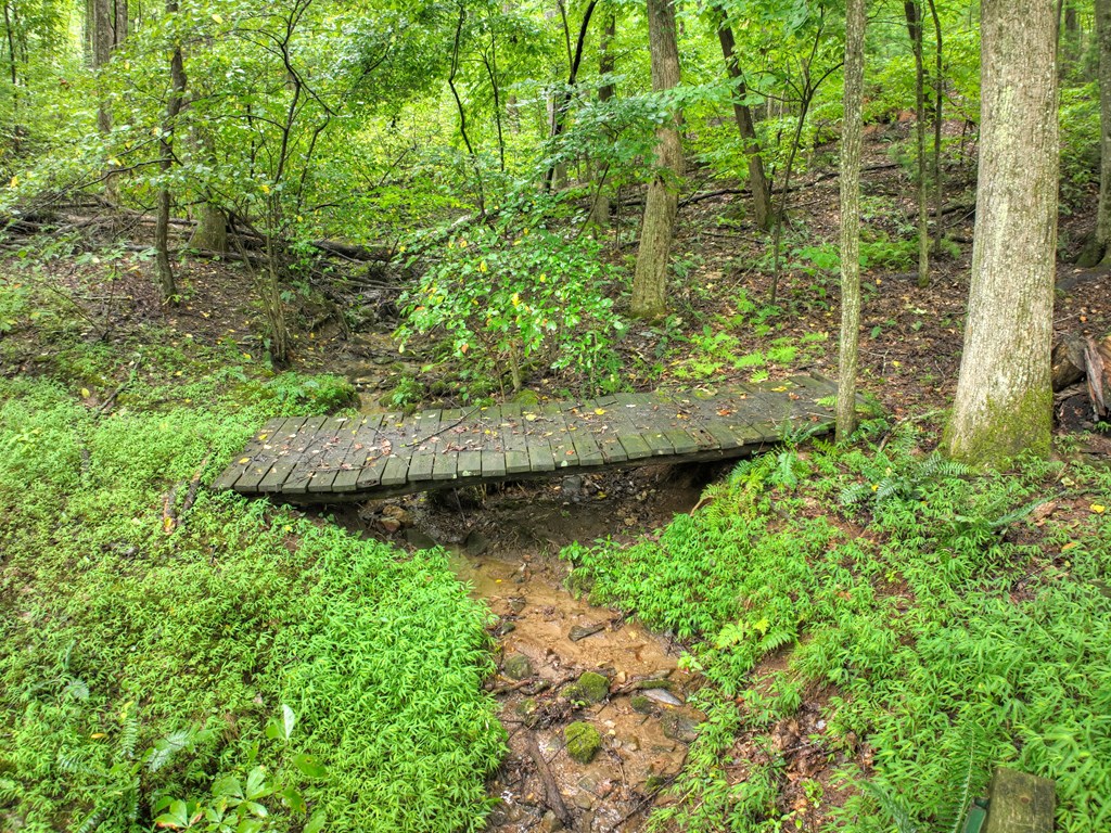 428466 Blue Ridge Residential