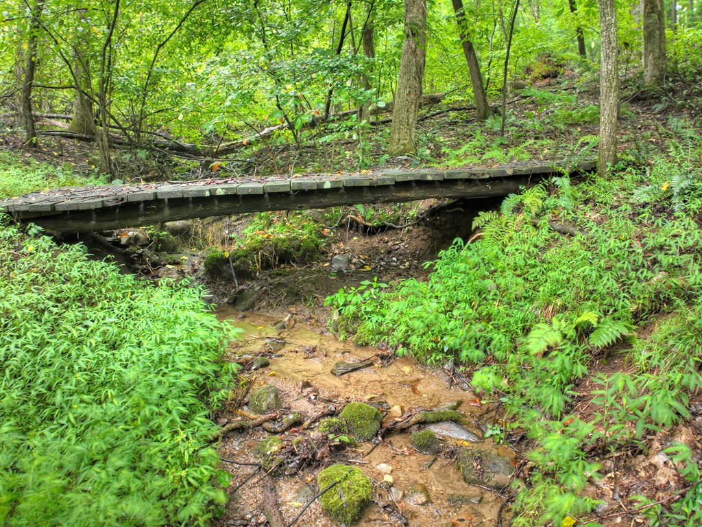 428466 Blue Ridge Residential