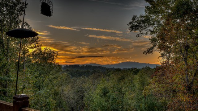 428467 Mineral Bluff Residential