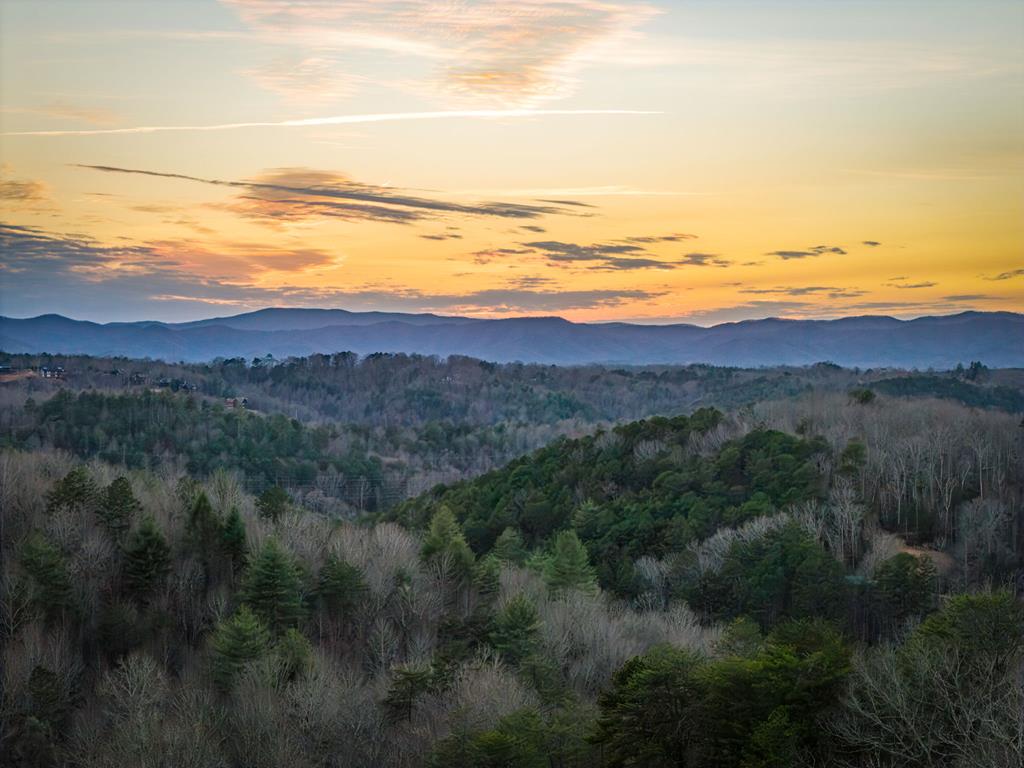 428490 Mineral Bluff Residential