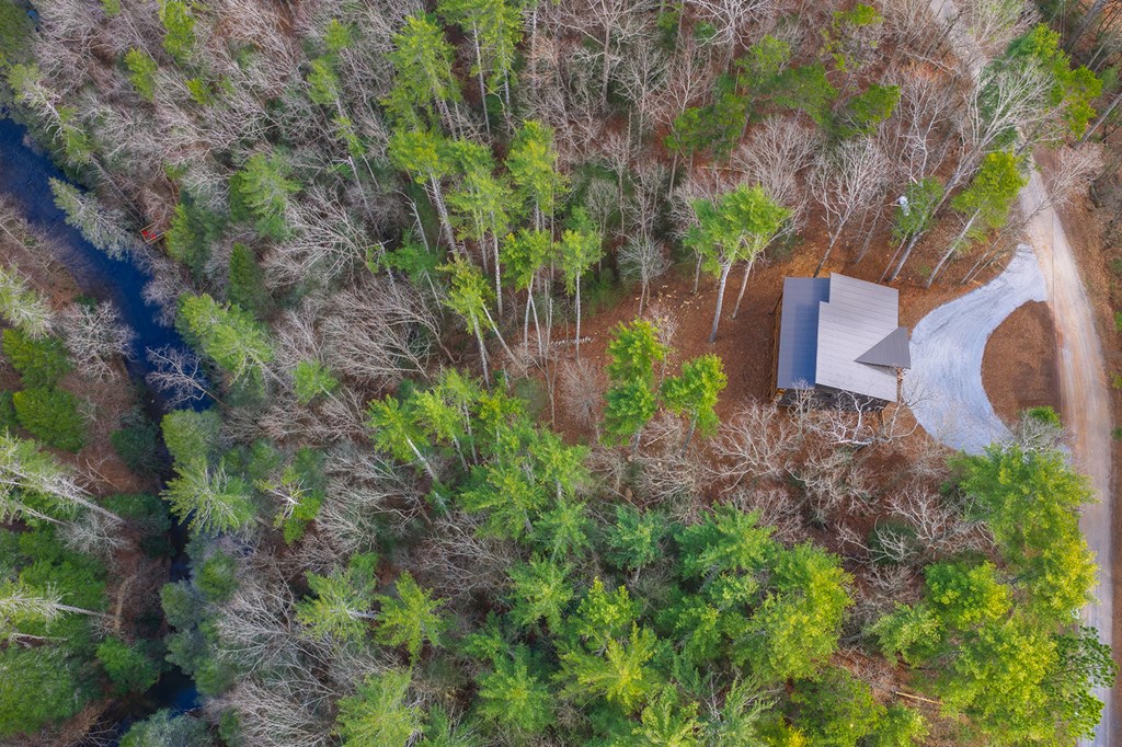 428494 Ellijay Residential