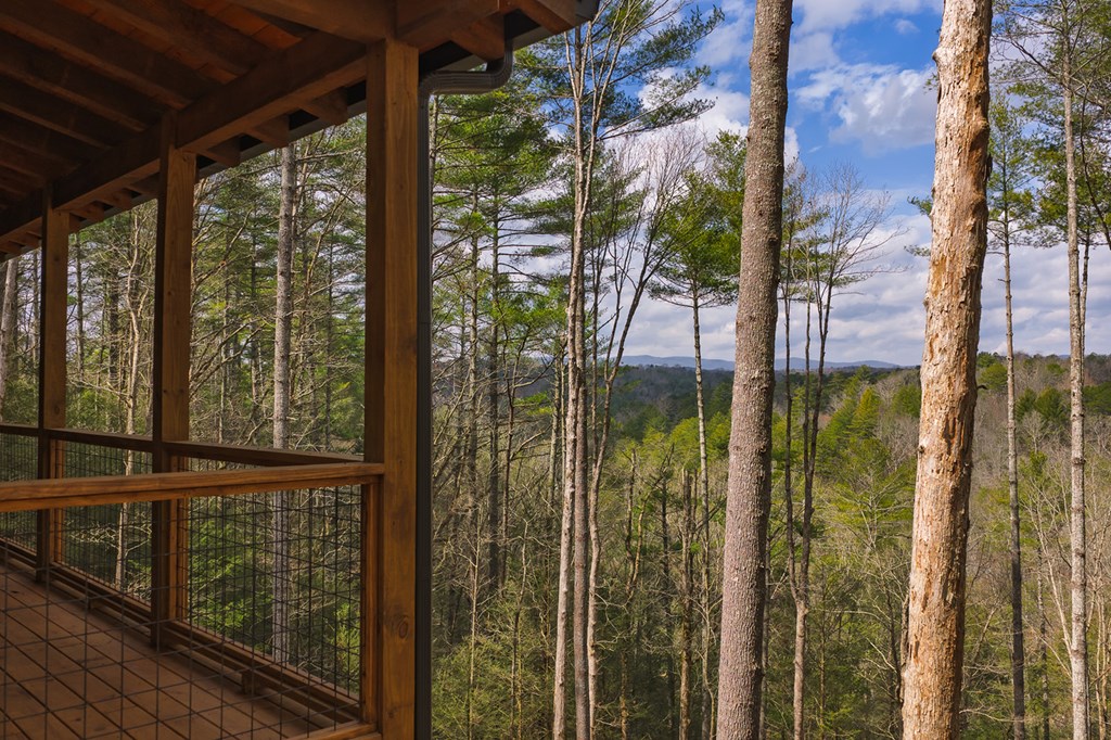 428494 Ellijay Residential