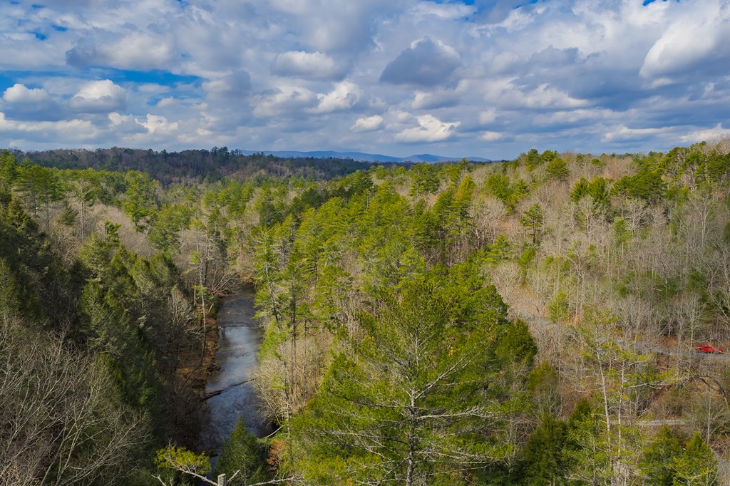 428494 Ellijay Residential