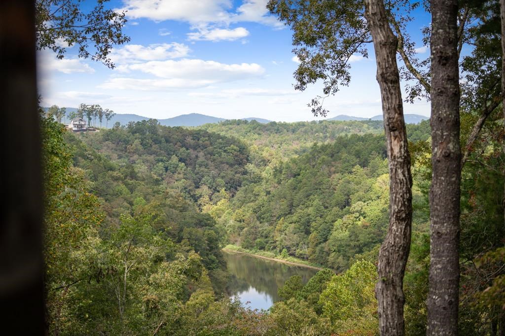 428504 Ellijay Residential