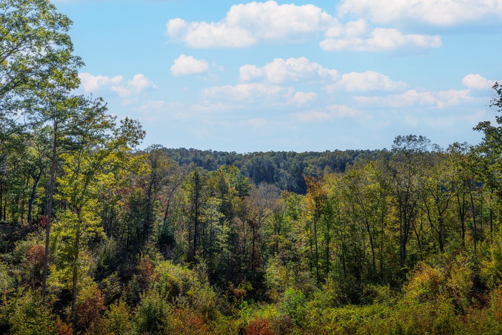 428510 Ellijay Residential