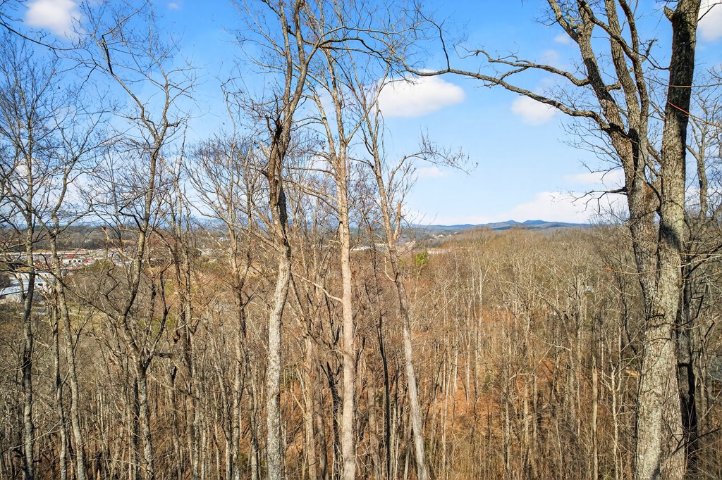 428517 Blue Ridge Residential