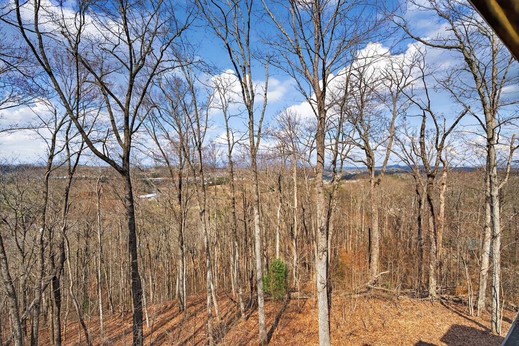 428517 Blue Ridge Residential