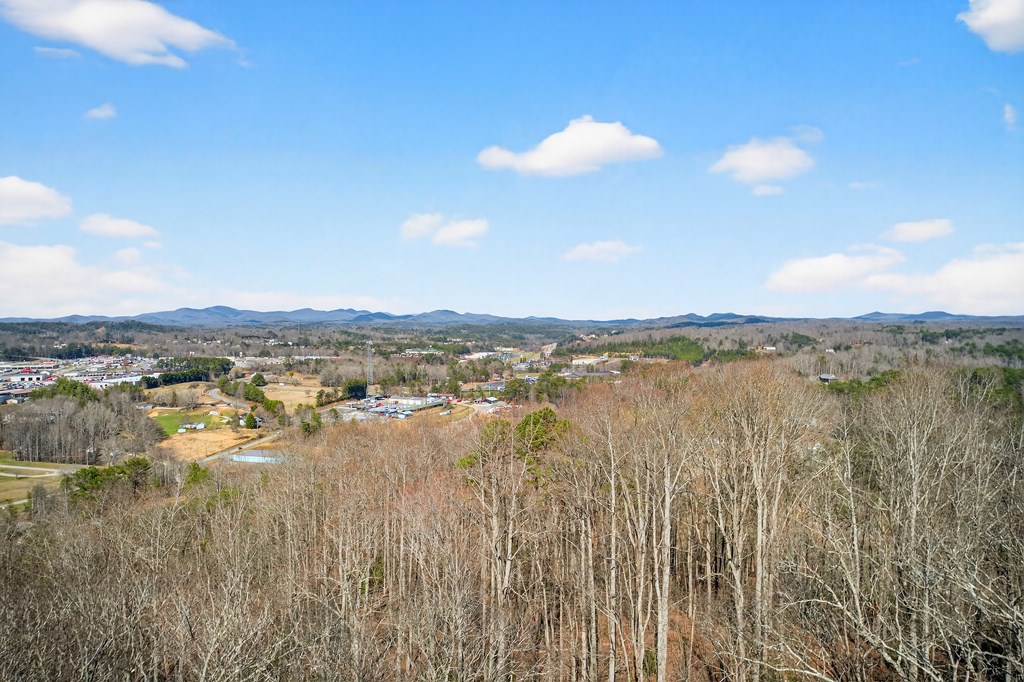 428517 Blue Ridge Residential