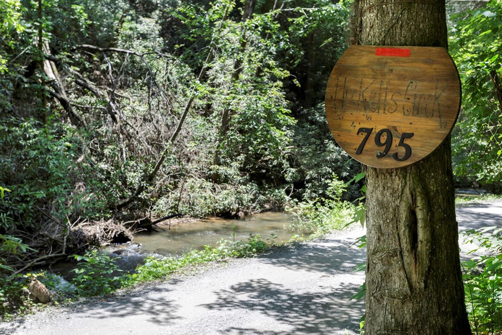 428527 Ellijay Residential