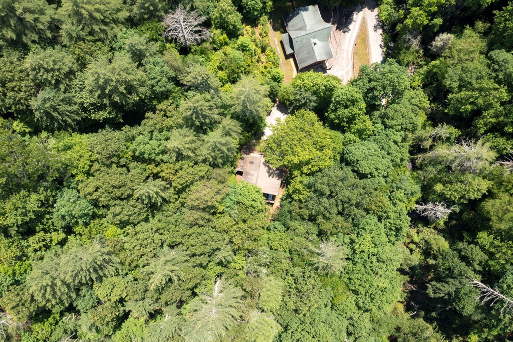 428527 Ellijay Residential